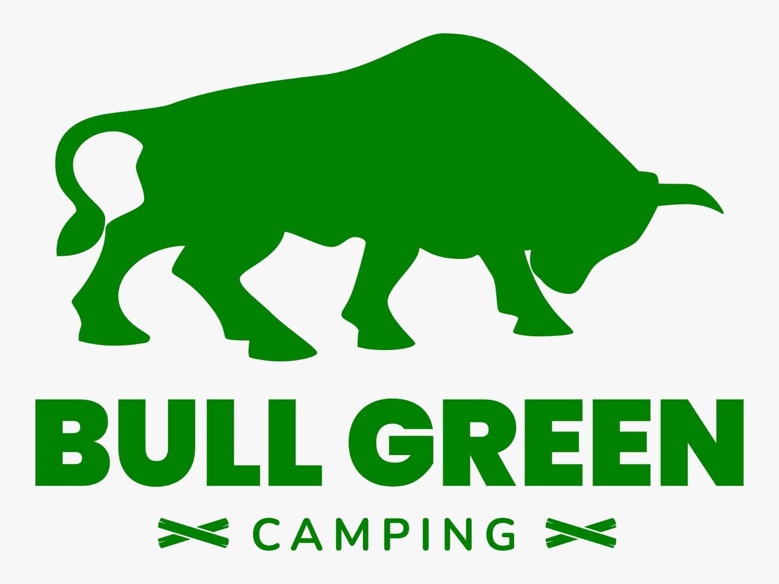 WhatsApp Image 2023-02-17 at 7.00.14 AM bull green