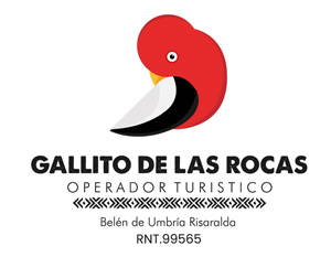 logo-gallito-de-las-rocas-1 gallito de las rocas